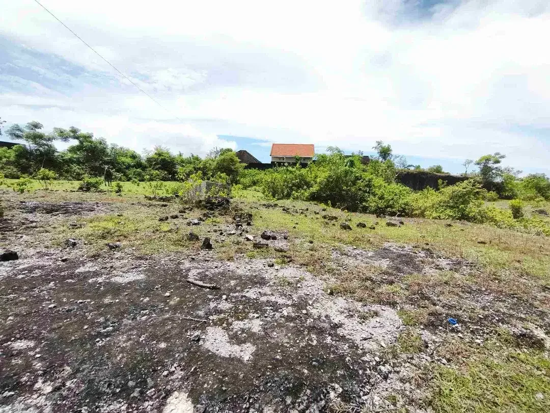 dijual tanah 2510m² IDR 850 juta per are jln Nusa dua selatan Kutuh Badung Bali - Image 7 of 10