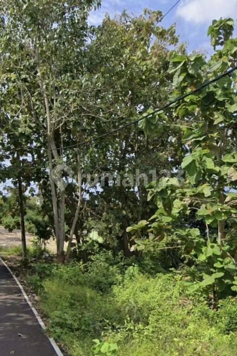 Dijual Tanah Ocean View Kawasan Nusa Dua - Bali - Image 2 of 4