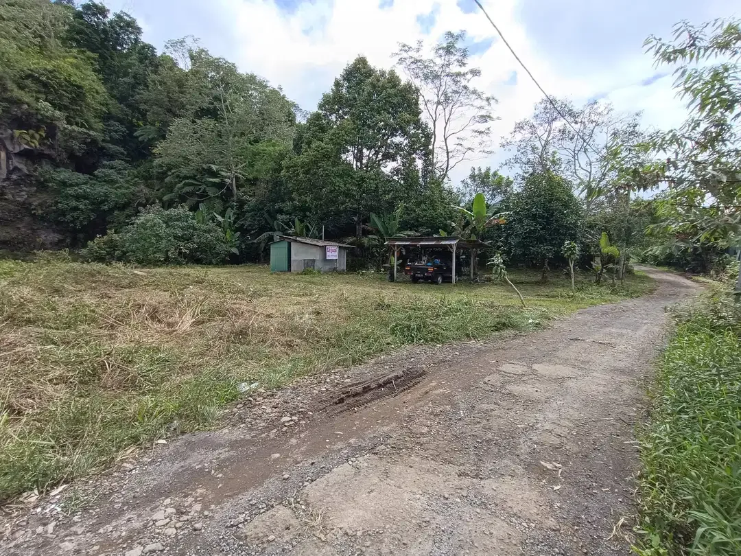 tanah murah di baturiti bedugul tabanan,dkt pasar sayur - Image 8 of 10
