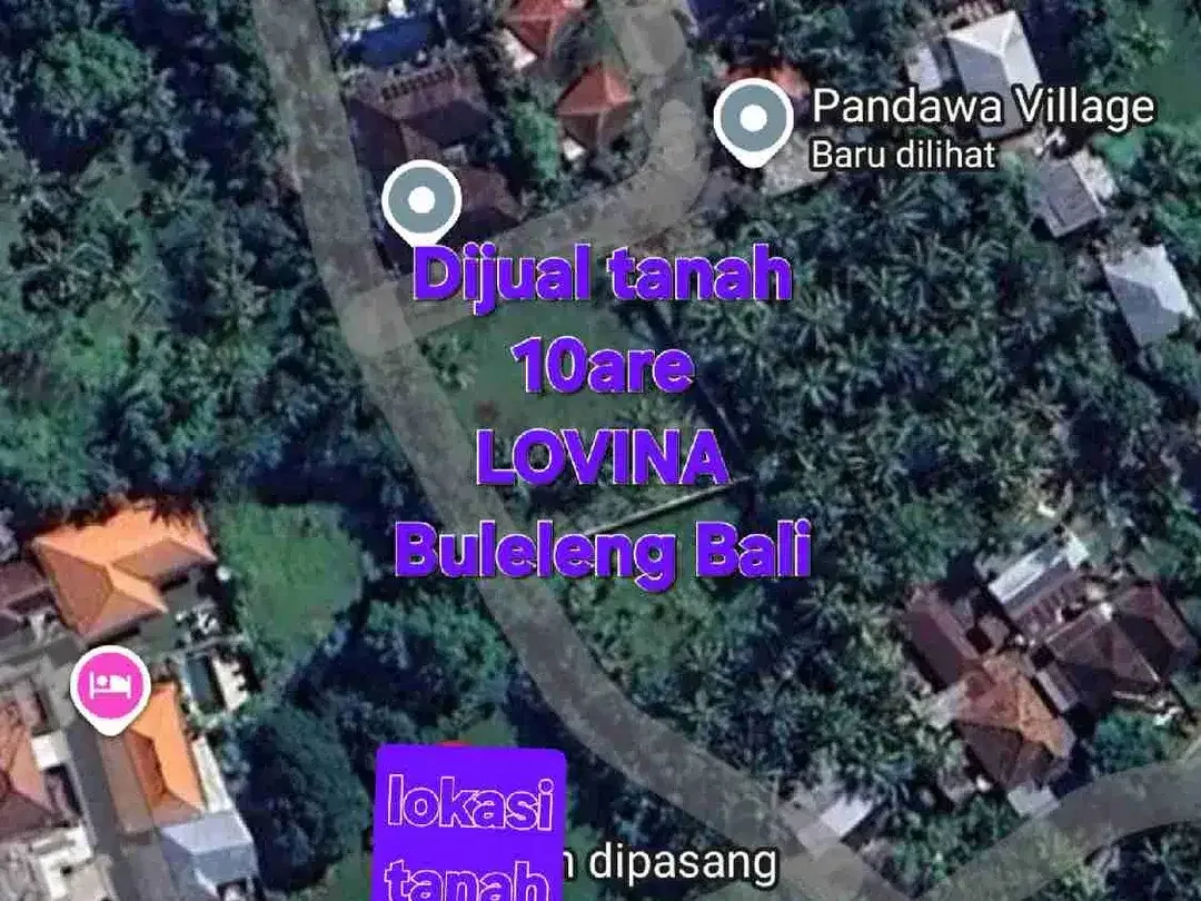 Jual tanah 10 are dekat PANTAI LOVINA / LOVINA DOLPIN Buleleng Bali, cck utk VILLA - Image 3 of 10