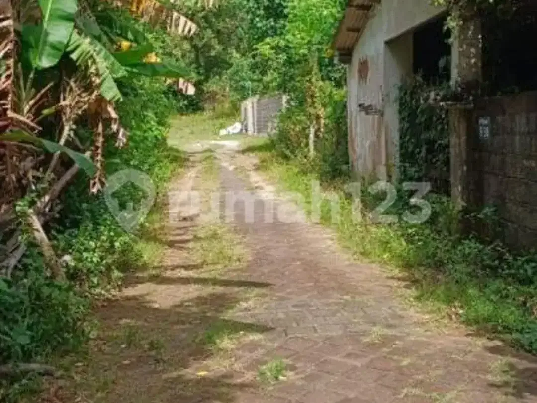 Dikontrakkan Tanah Sangat Strategis di Jimbaran - Image 5 of 5