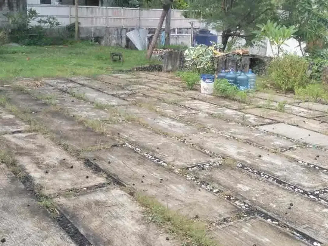 DI JUAL TANAH MURAH DI PUSAT OBYEK WISATA CANGGU - Image 1 of 6