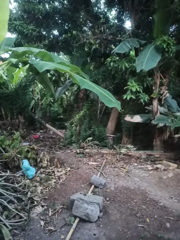 tanah kontrak termurah di pinggir jalan umalas - Image 4 of 10