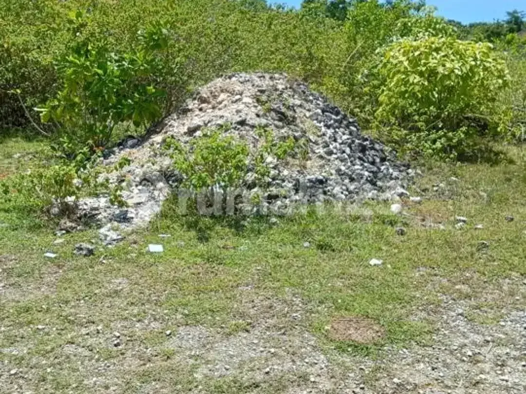 Tanah Strategis Cocok untuk Bisnis Kluster Villa atau Perumahan - Image 4 of 9