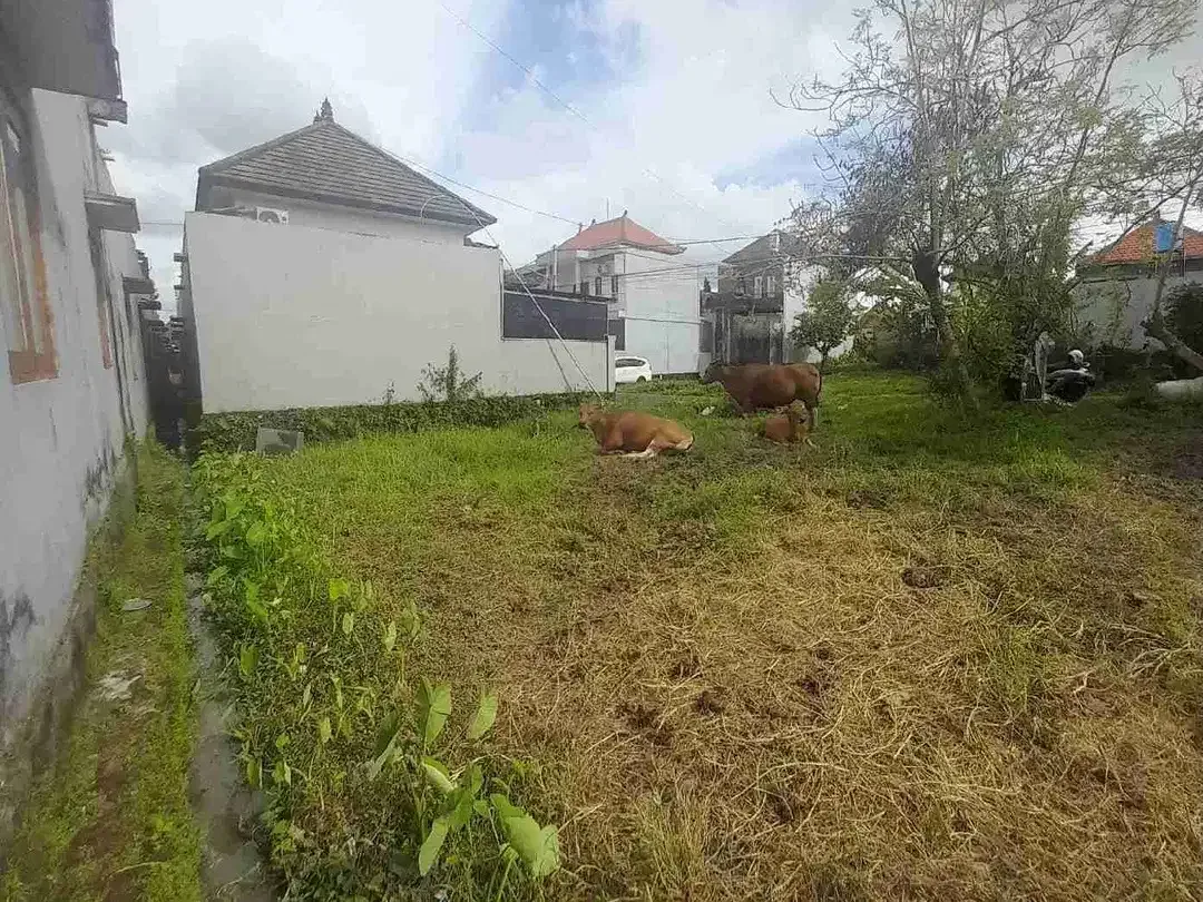 Jual Tanah Harga Global Luas 120m/1.2are lokasi Sempidi dekat Puspem Badung bali area Hunian. - Image 6 of 6