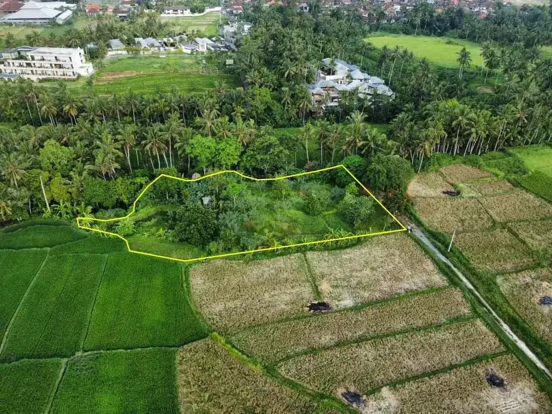 TANAH VIEW SAWAH DAN SUNGAI LOKASI LOT TUNDUH UBUD - Image 7 of 10