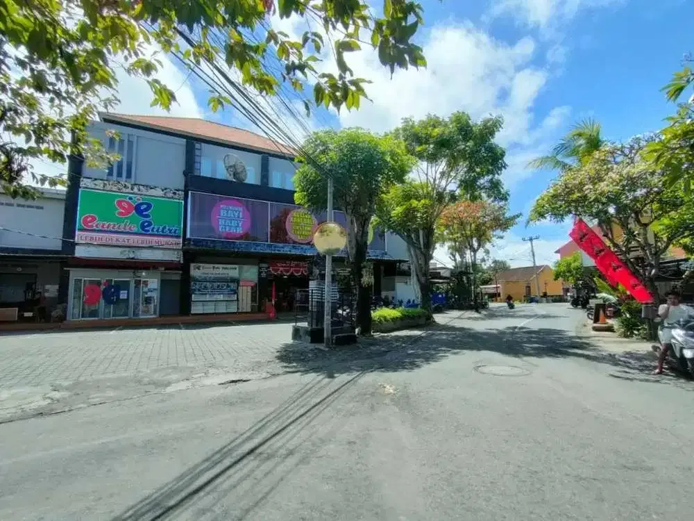 TANAH DATAR SIAP BANGUN LINGKUNGAN ELITE SANUR - Image 5 of 8