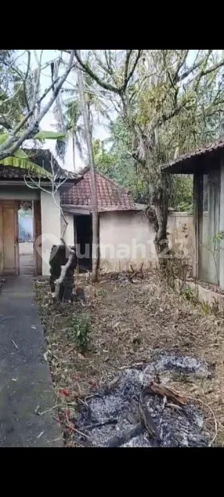 Jual Tanah Bonus Vila Kayu Kolam Renang Siap Renovasi - Image 2 of 4
