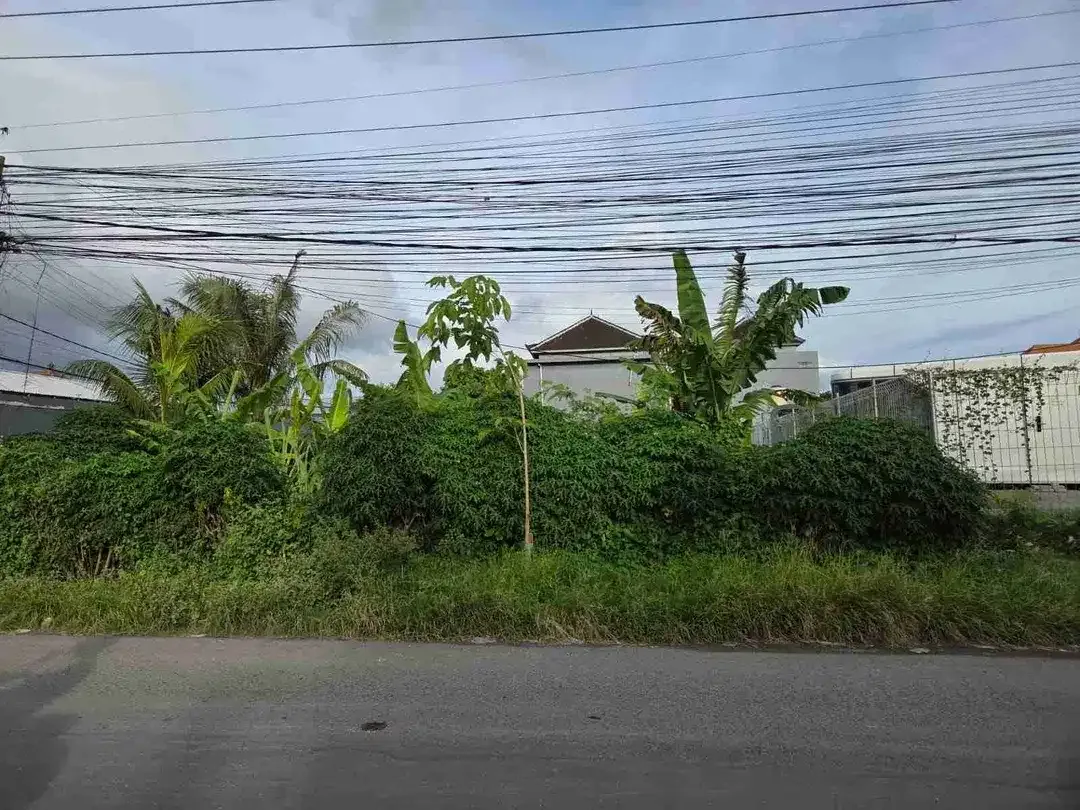 Tanah - Image 7 of 10