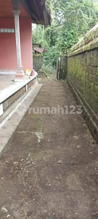 Ruko + Rumah - Jl Denpasar Raya - Mengwi - Badung - Bali - Image 4 of 4