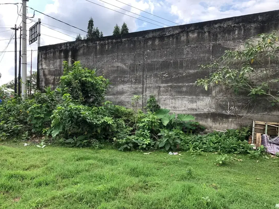 Freehold - Rare Opportunity! Land in commercial located in Ubung Kaja, Denpasar Utara, Bali - Image 4 of 9