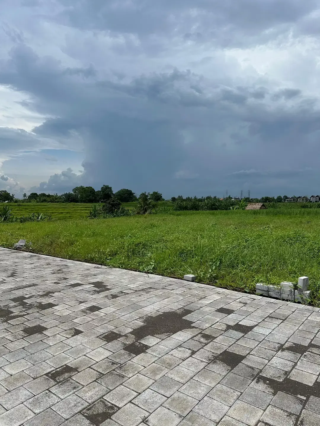DIJUAL TANAH PANTAI KEDUNGU DEKAT CANGGU - Image 4 of 10