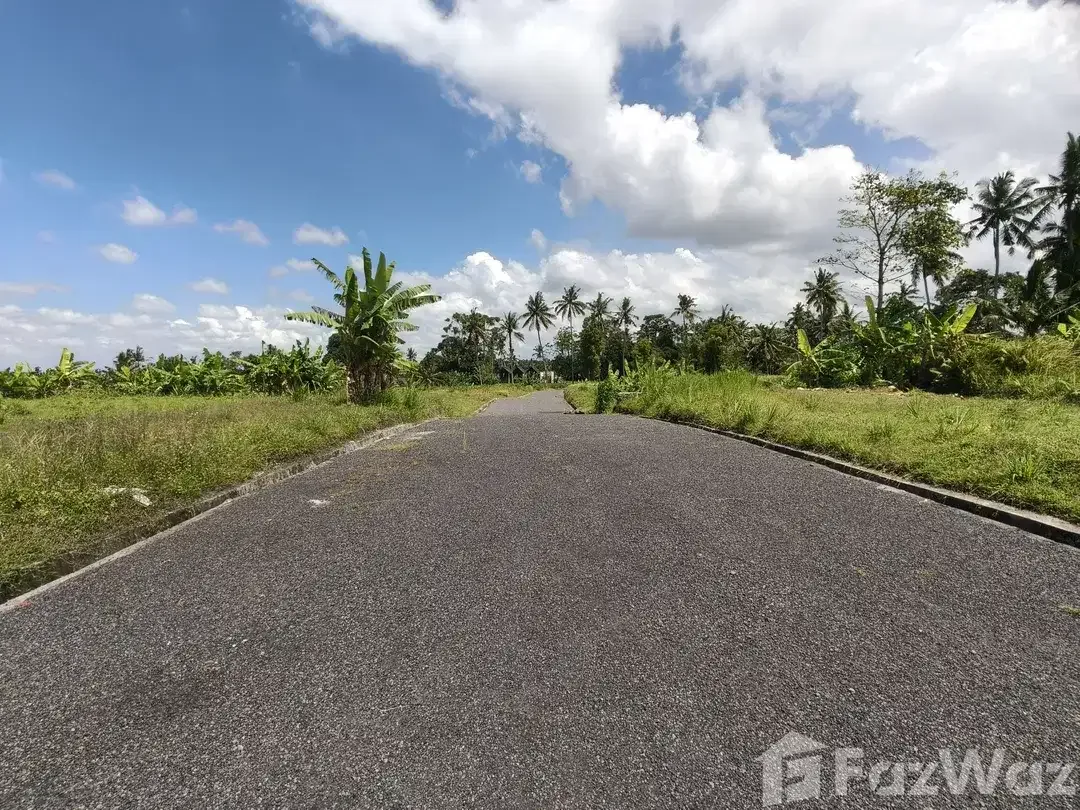 Land for sale in Tegallalang, Bali - Image 8 of 9