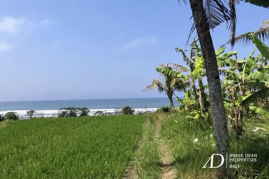 FREEHOLD BEACHFRONT LAND IN PEKUTATAN (3,000 M2) IN TOURISM ZONE - Image 3 of 10