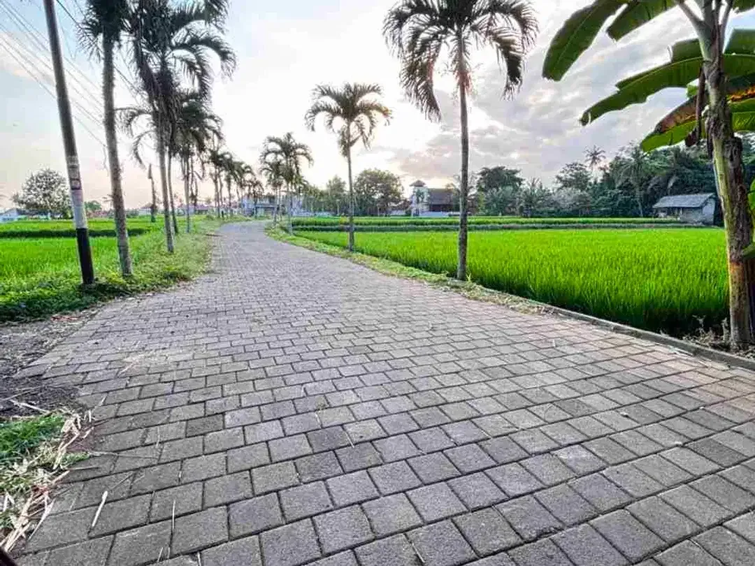 DIJUAL CEPAT TANAH KAWASAN VILLA & RESORT di KEMENUH UBUD GIANYAR BALI - Image 3 of 6