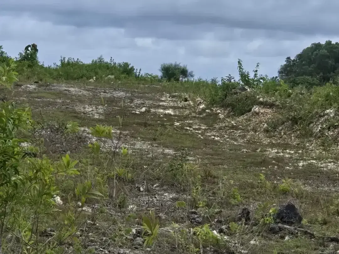 FOR SALE – Tanah Premium 1,66 Ha di Cemongkak Pecatu, Uluwatu Bali | Ocean View | SHM/Freehold | Villa Area - Image 3 of 10