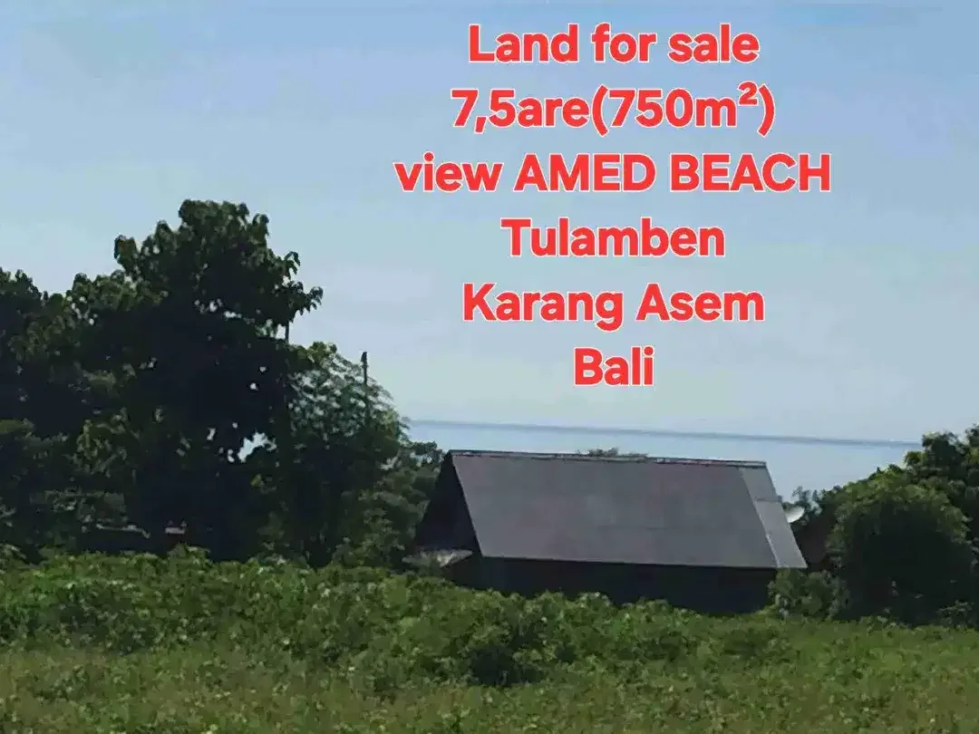 LAND FOR SALE 7,5 ARE view AMED BEACH, Tulamben KARANG ASEM BALI - Image 6 of 10