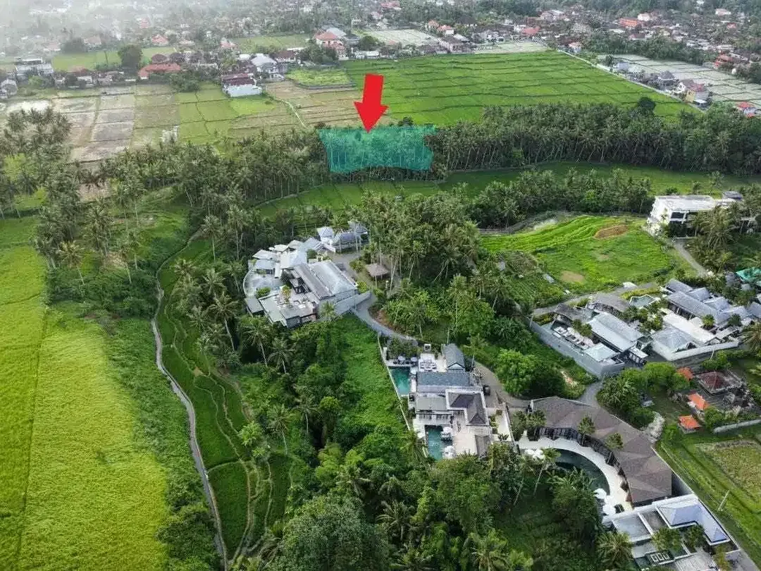 TANAH VIEW SAWAH DAN SUNGAI LOKASI LOT TUNDUH UBUD - Image 9 of 10