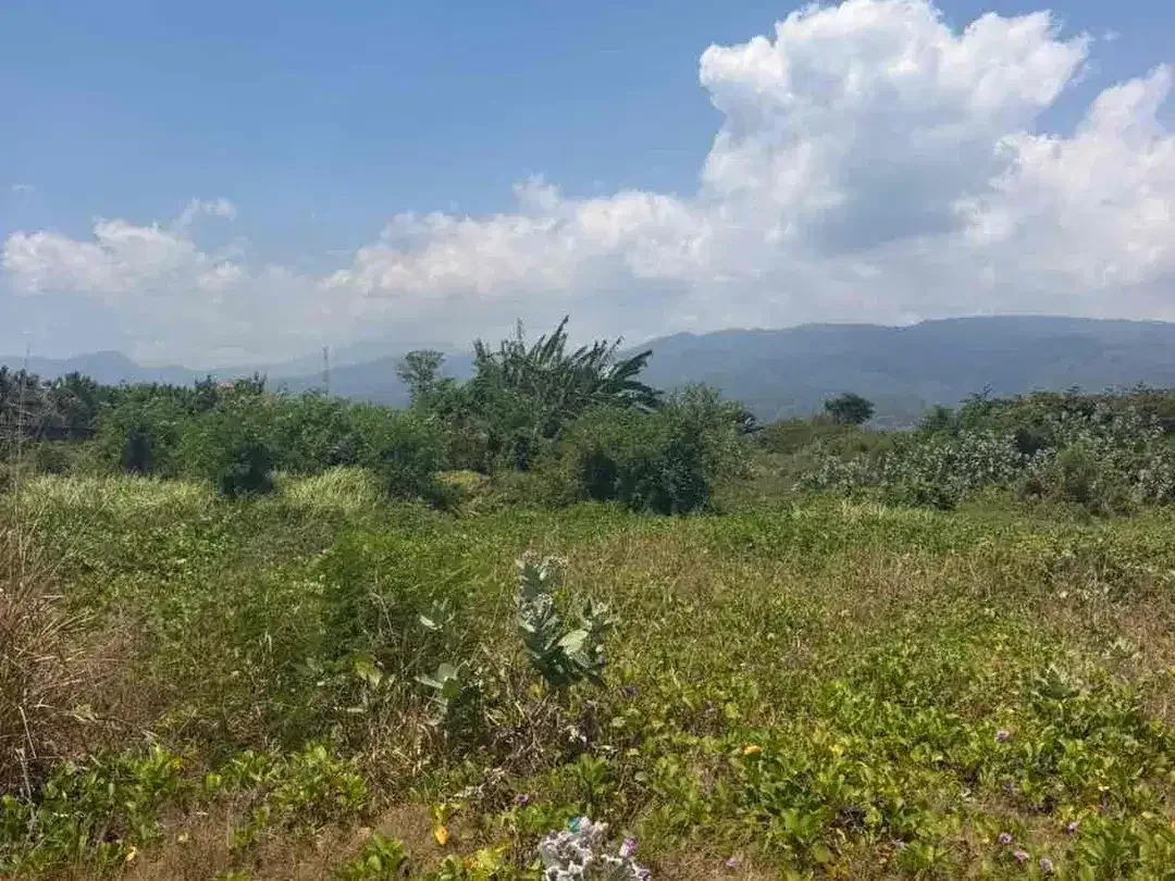 RARE BEACHFRONT LAND FOR SALE – LOVINA, NORTH BALI - Image 5 of 6