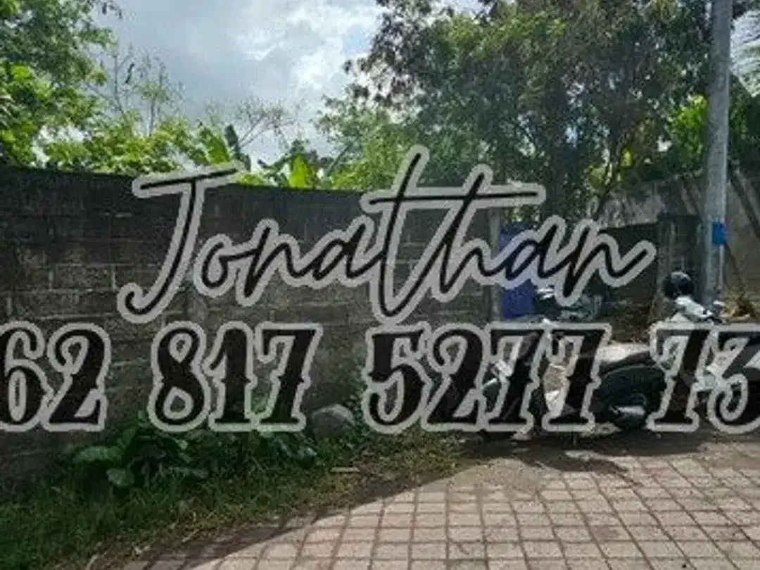 DIJUAL TANAH PLOT KECIL LANGKA VIEW SAWAH DI PADONAN - Lskt - Image 9 of 9