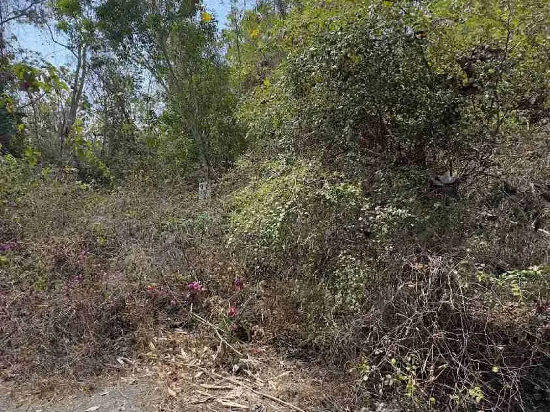 Dijual Tanah 100m2 Ungasan Dekat Melasti - Image 4 of 8