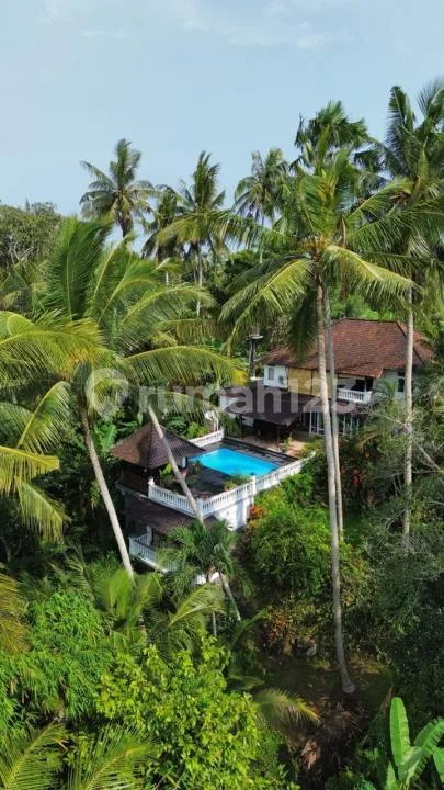 Di Jual Villa Sawah,Kerambitan Tabanan Bali - Image 2 of 4