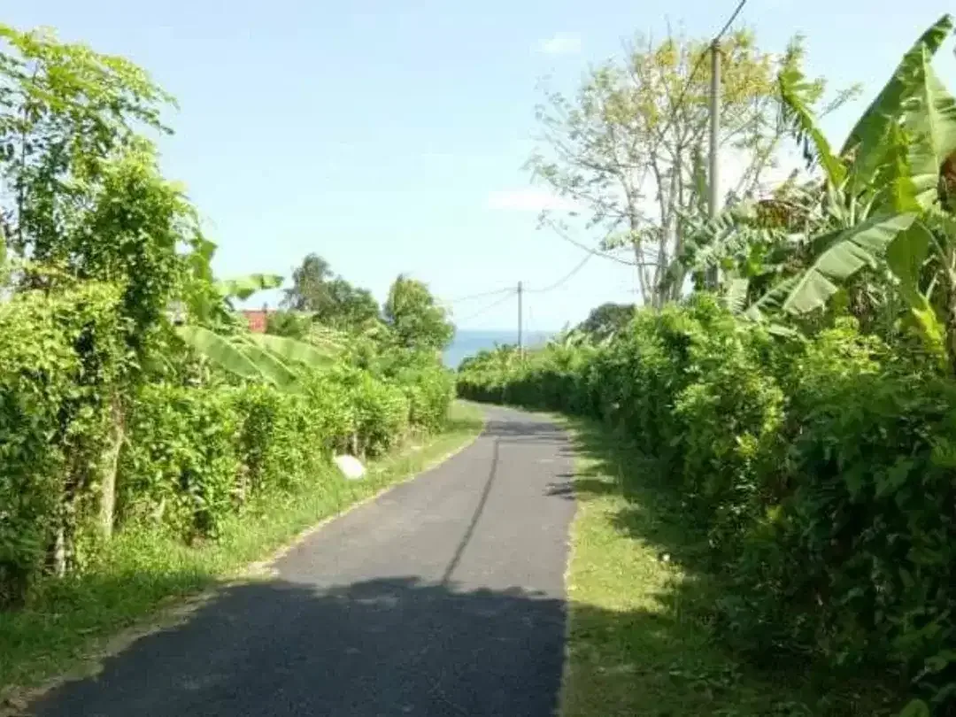 Freehold - Land Near Balian Beach, Bali Only 200m to Shore - Image 3 of 4