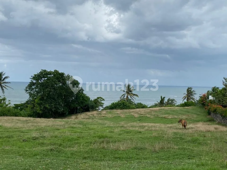 Tanah di Lalang Linggah Balian Beach 6625MÂ² Tabanan - Image 4 of 4