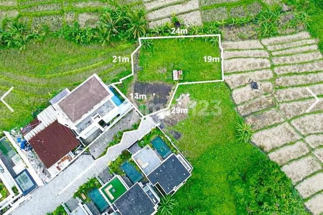 Tanah Murah di Cemagi , View Sawah Lt600m2 - Image 3 of 4