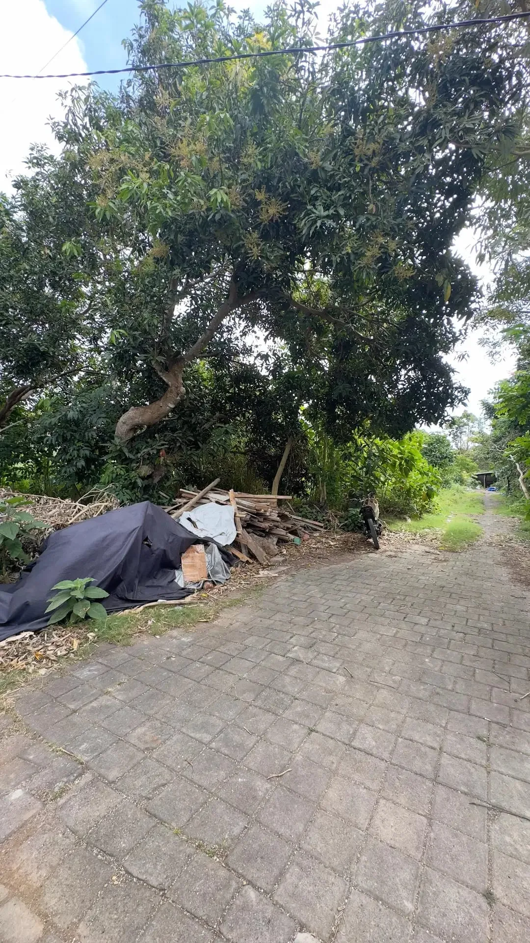 Dijual Tanah Plot Kecill 200m2 di Kawasan Bingin Uluwatu Bali - Image 9 of 10