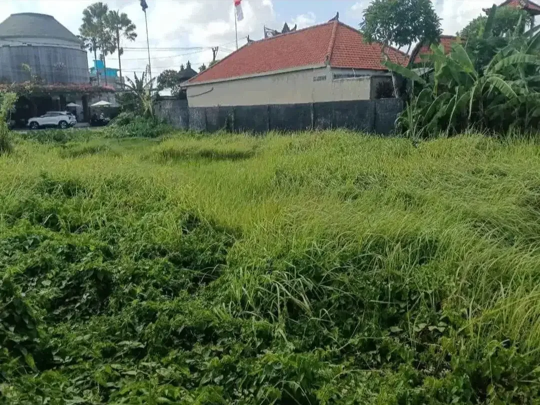 Tanah Komersil Tegal Cupek Kerobokan Bali - Image 6 of 7