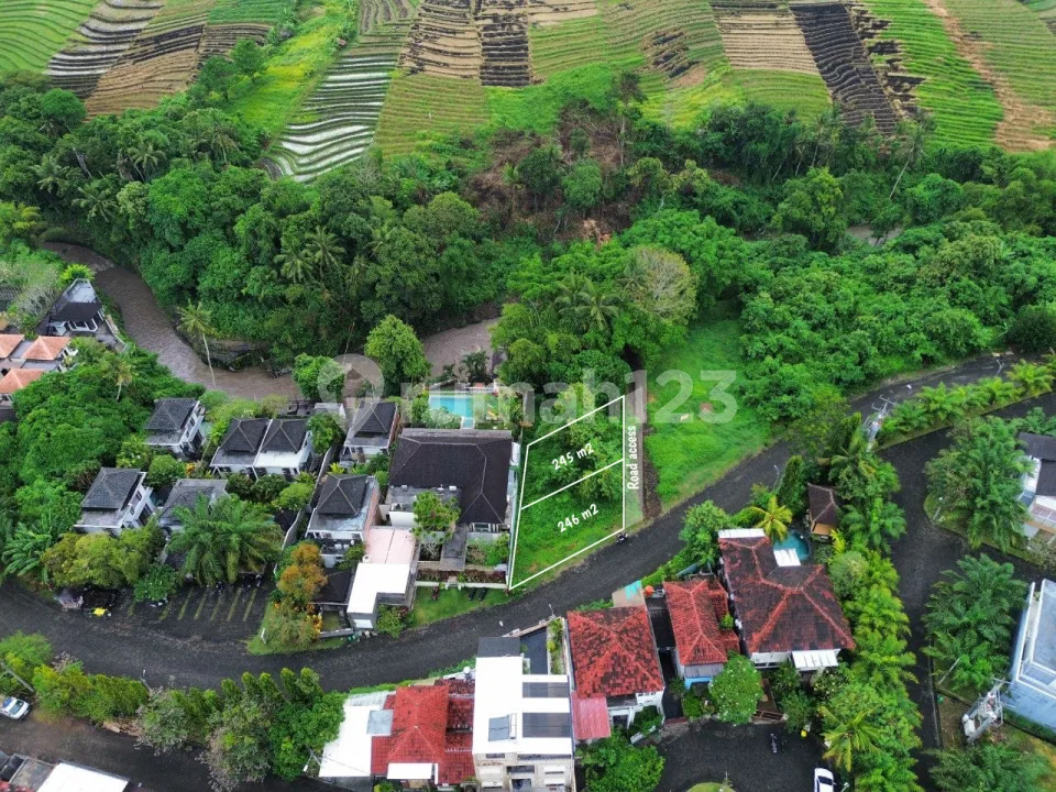 Tanah Dalam Lingkungancluster Green Lot Munggu - Image 4 of 4