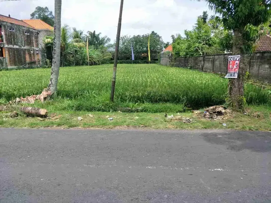 Tanah komersil zona perdagangan dan jasa Kemenuh sukawati Gianyar Bali - Image 1 of 5