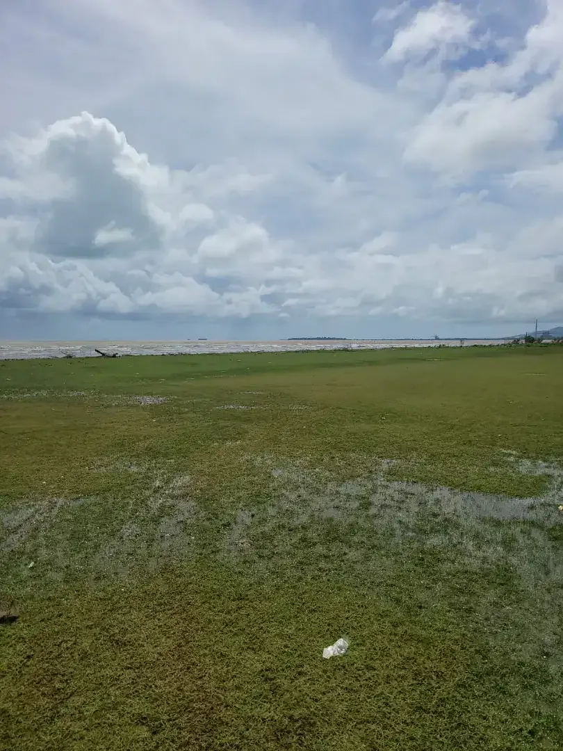 Dijual Tanah 41,666 m2 Jl Raya Panimbang Tanjung Lesung Banten - Image 4 of 6