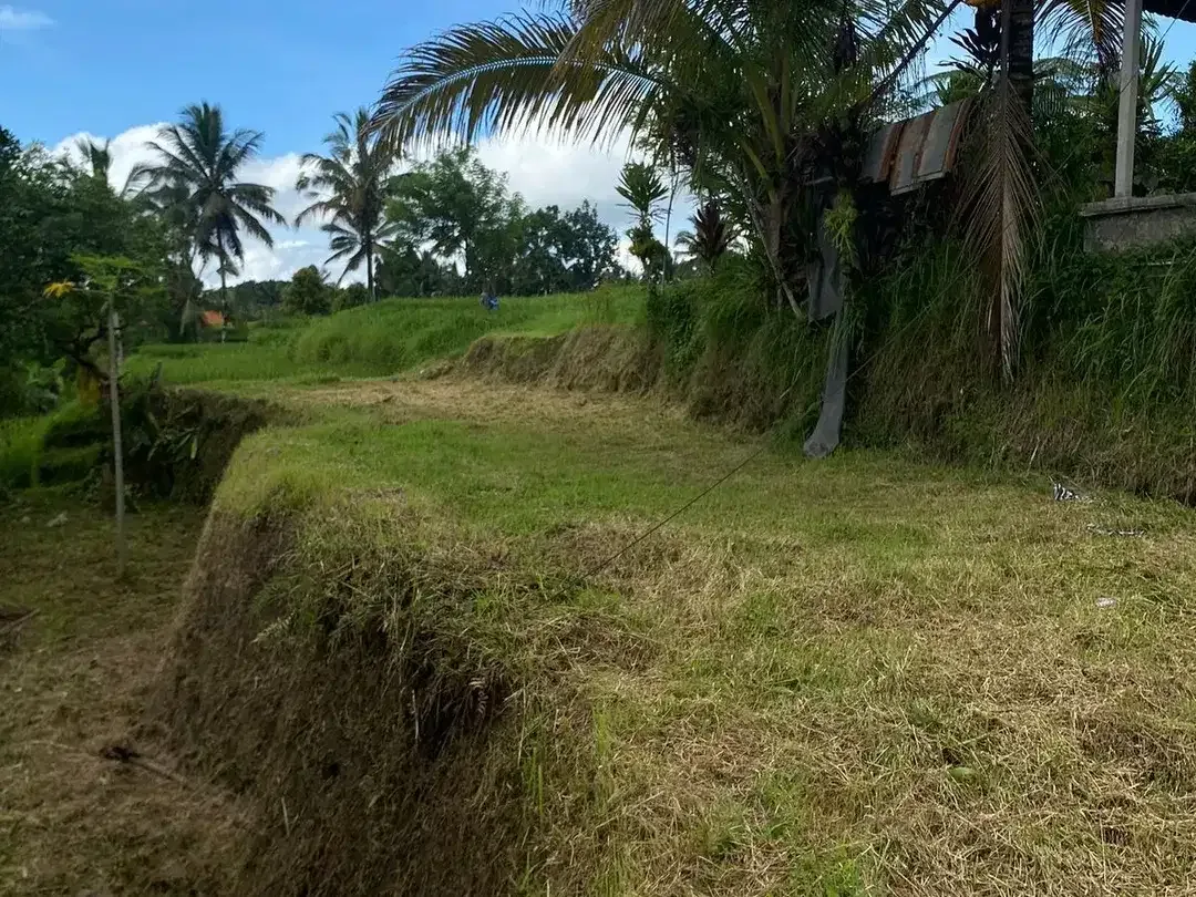 Land for sale in Tegallalang, Bali - Image 8 of 10