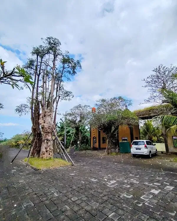 [AMS-067.DRM] Jual Tanah Kavling 1 arean Super Premium Siyut Gianyar - Image 7 of 10