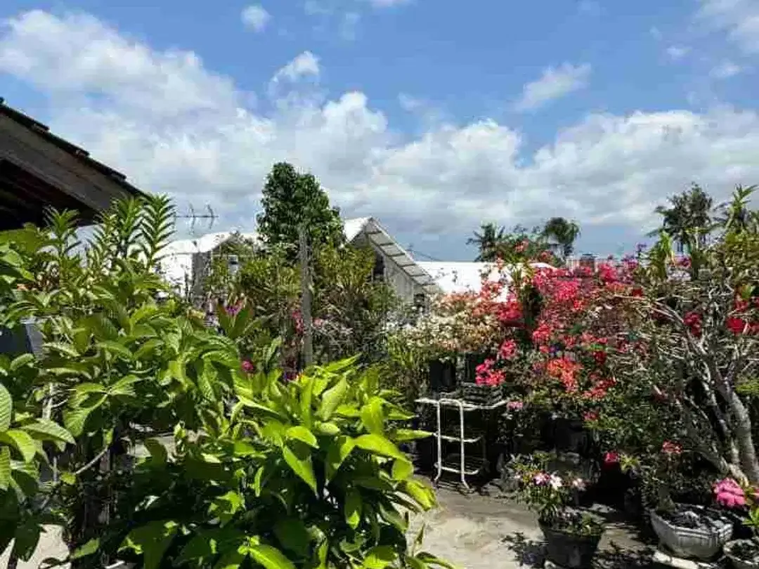 RUMAH NYAMAN DAN ASRI DI BUDUK - Image 9 of 10