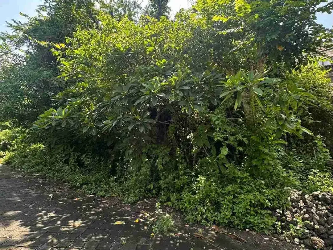 Tanah Kavling Strategis di Taman Kebo Iwa, Benoa Nusa Dua - Image 3 of 8