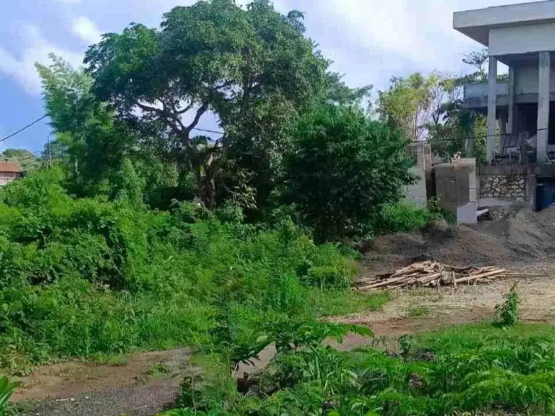 DIKONTRAKKAN TANAH LOKASI PECATU DEKAT PANTAI BINGIN DAN ULUWATU - Image 4 of 7