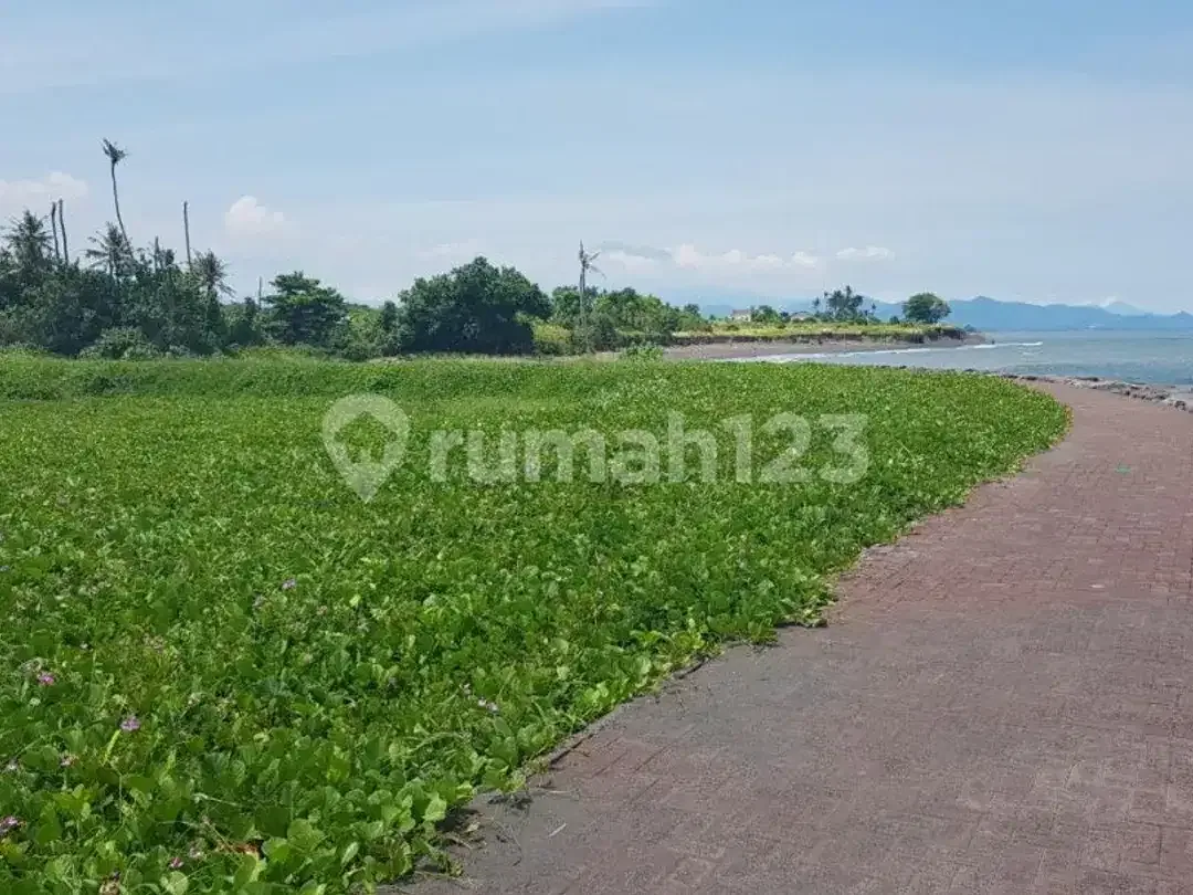 Dijual Tanah Beachfront 19 Are, Dipantai Pabean, Ketewel - Image 6 of 7