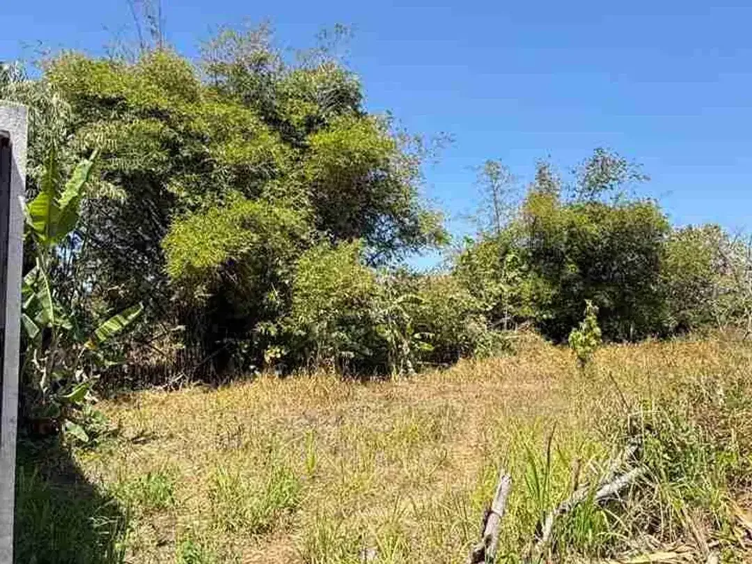 Dijual Murah Tanah 200m2 Di Kutuh Kuta Selatan - Image 6 of 8