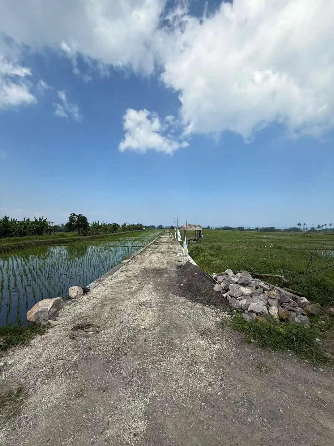Tanah Kavling Premium Dekat Pantai Pasut Tibubiyu Kerambitan Tabanan - Image 6 of 6