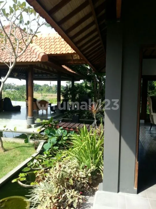 Spacious And Full Of Greenery 5 Bedroom Villa In Umalas - Image 4 of 4