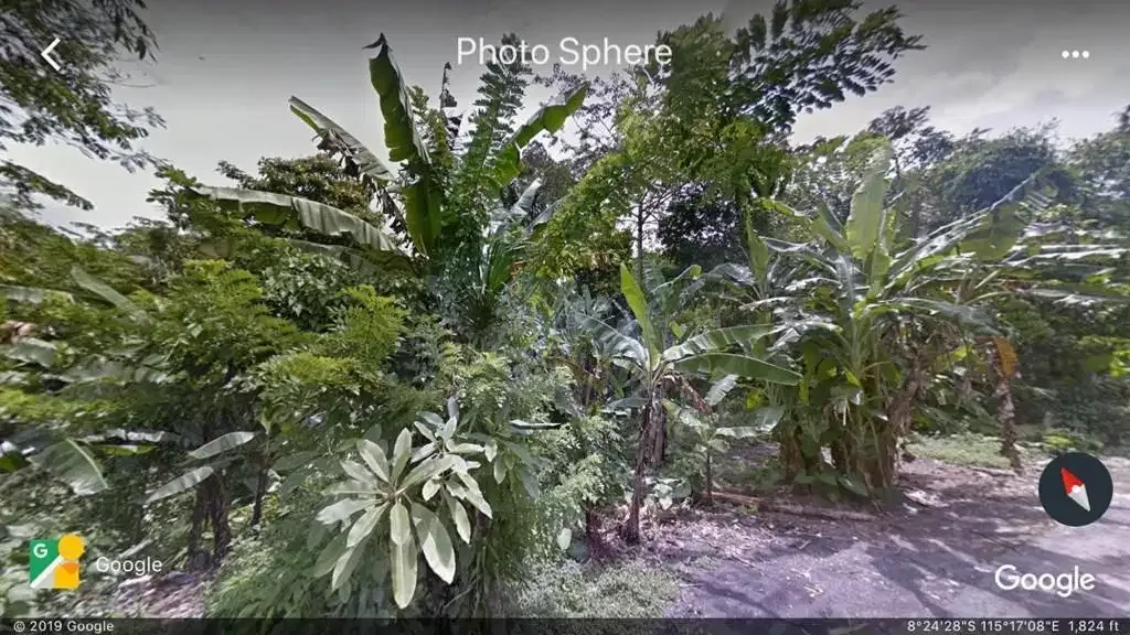 Dijual Tanah 38 are Daerah Tegalalang - Image 4 of 10