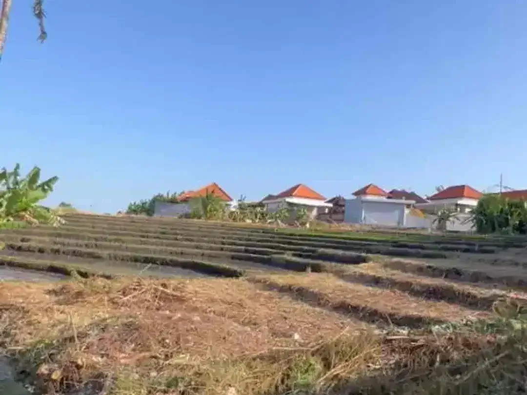 Tanah langka super prime di jalan utama subak daksina Canggu view sawah - Image 6 of 6