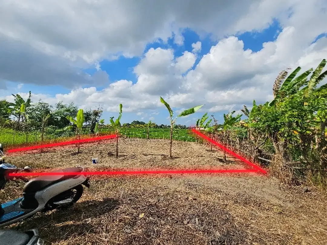 Land for Rent in tumbak bayuh view rice fiel - Image 2 of 3