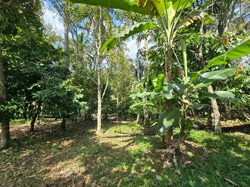 DIJUAL TANAH LOS SUNGAI di tabanan bali BEBATUAN - Image 7 of 10