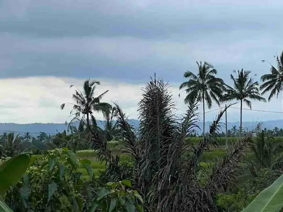 jual tanah kebun view sawah, gunung dan los sungai cantik di tabanan bali. - Image 2 of 10