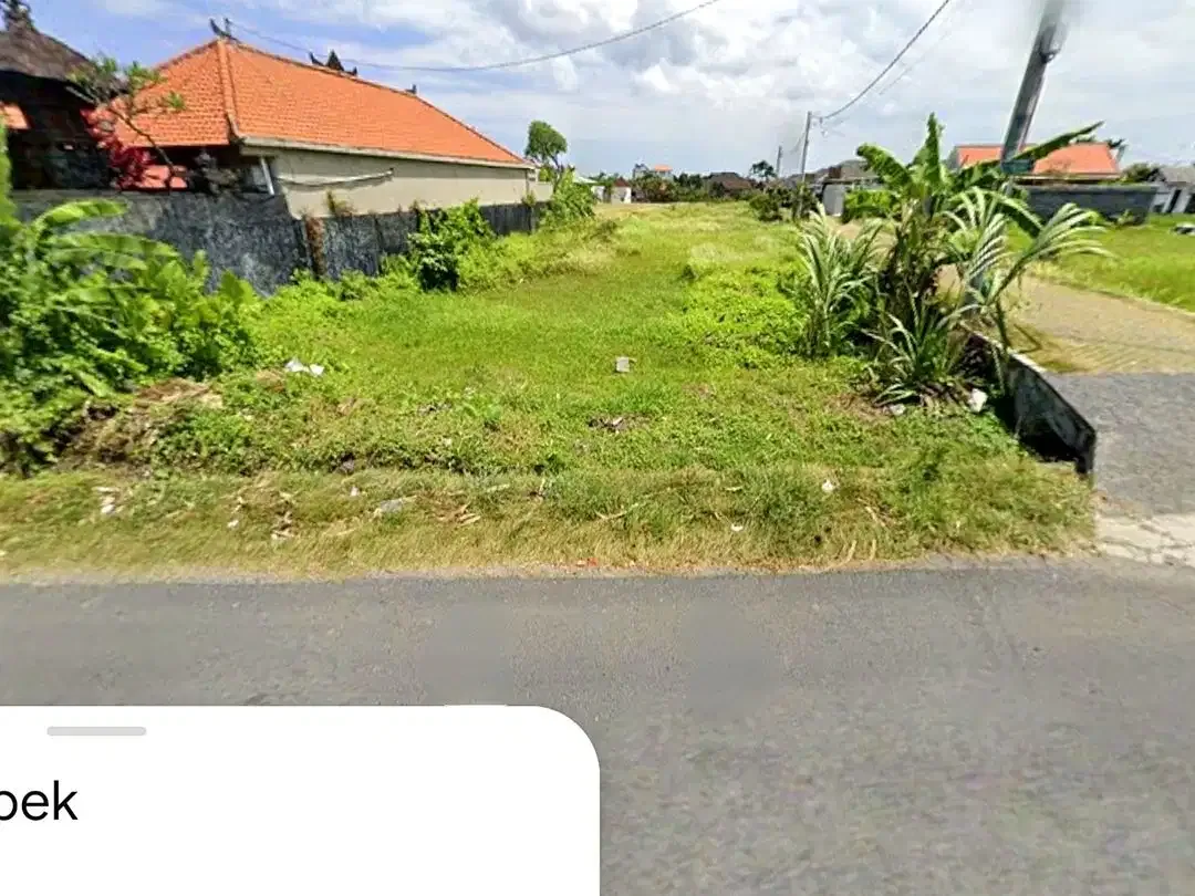 Tanah Raya Tegal Cupek Kerobokan - Image 5 of 10