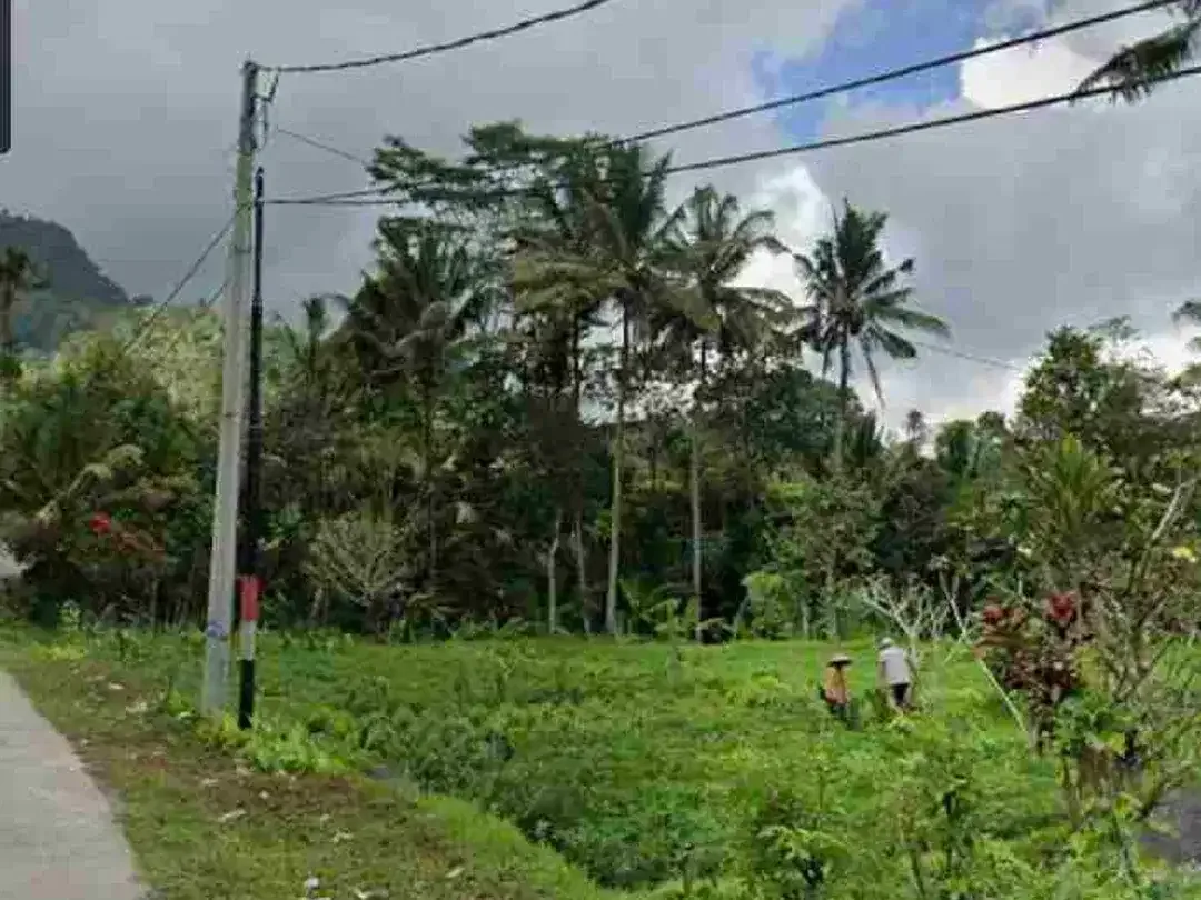 Land 2ha for Sale at Sidemen Traditional Village Bali - Image 3 of 10